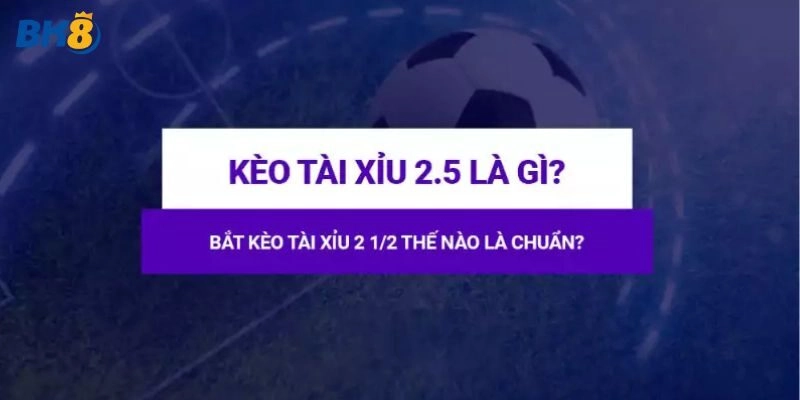 Cách đánh tài xỉu bóng đá 2 trái rưỡi cơ bản