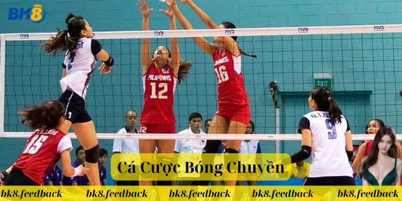 Mẹo chơi Cá Cược Bóng Chuyền hiệu quả